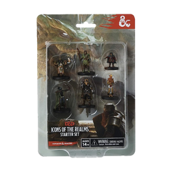 Wizkids - D&D - Icons of the Realms - Starter Set