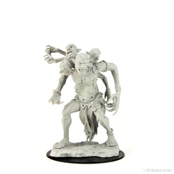 Wizkids D&D Nolzur's Marvelous Miniatures: Dire Troll