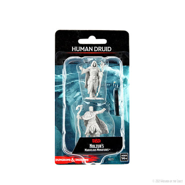 Wizkids D&D Nolzur's Marvelous Miniatures: Human Druid Male