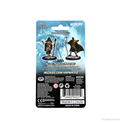 Wizkids D&D Nolzur's Marvelous Miniatures: Human Druid Male