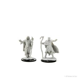 Wizkids D&D Nolzur's Marvelous Miniatures: Human Druid Male