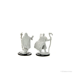 Wizkids D&D Nolzur's Marvelous Miniatures: Human Druid Male
