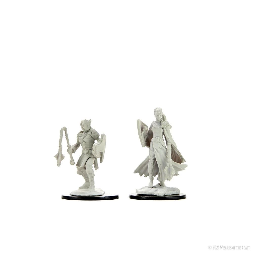 Wizkids D&D Nolzur's Marvelous Miniatures: Kalashtar Cleric