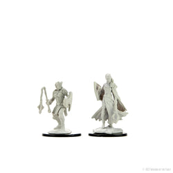 Wizkids D&D Nolzur's Marvelous Miniatures: Kalashtar Cleric