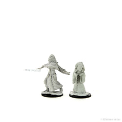 Wizkids D&D Nolzur's Marvelous Miniatures: Night Hag & Dusk Hag