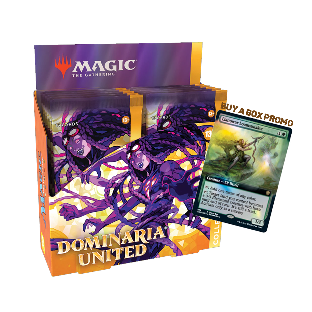 MTG - Dominaria United (DMU) - Collector Booster Box (12 Packs)