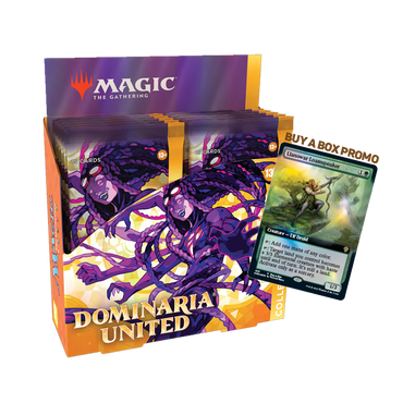 MTG - Dominaria United (DMU) - Collector Booster Box (12 Packs)