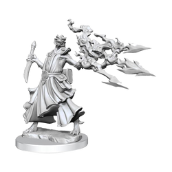 Wizkids - D&D - Frameworks - Male Dragonborn Sorcerer